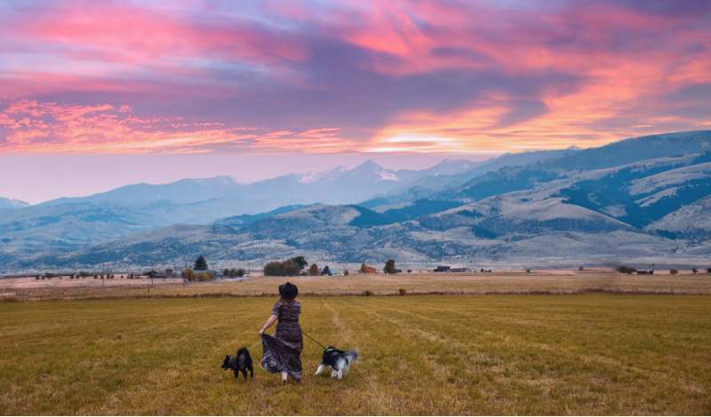 13 Fun Things To Do In Livingston​, Montana - The Well Worn Shoes