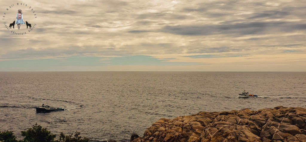 12 Fun Things To Do In Cape Breton Highlands - The Well Worn Shoes